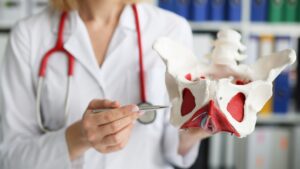Photo of Doctor with pelvis model