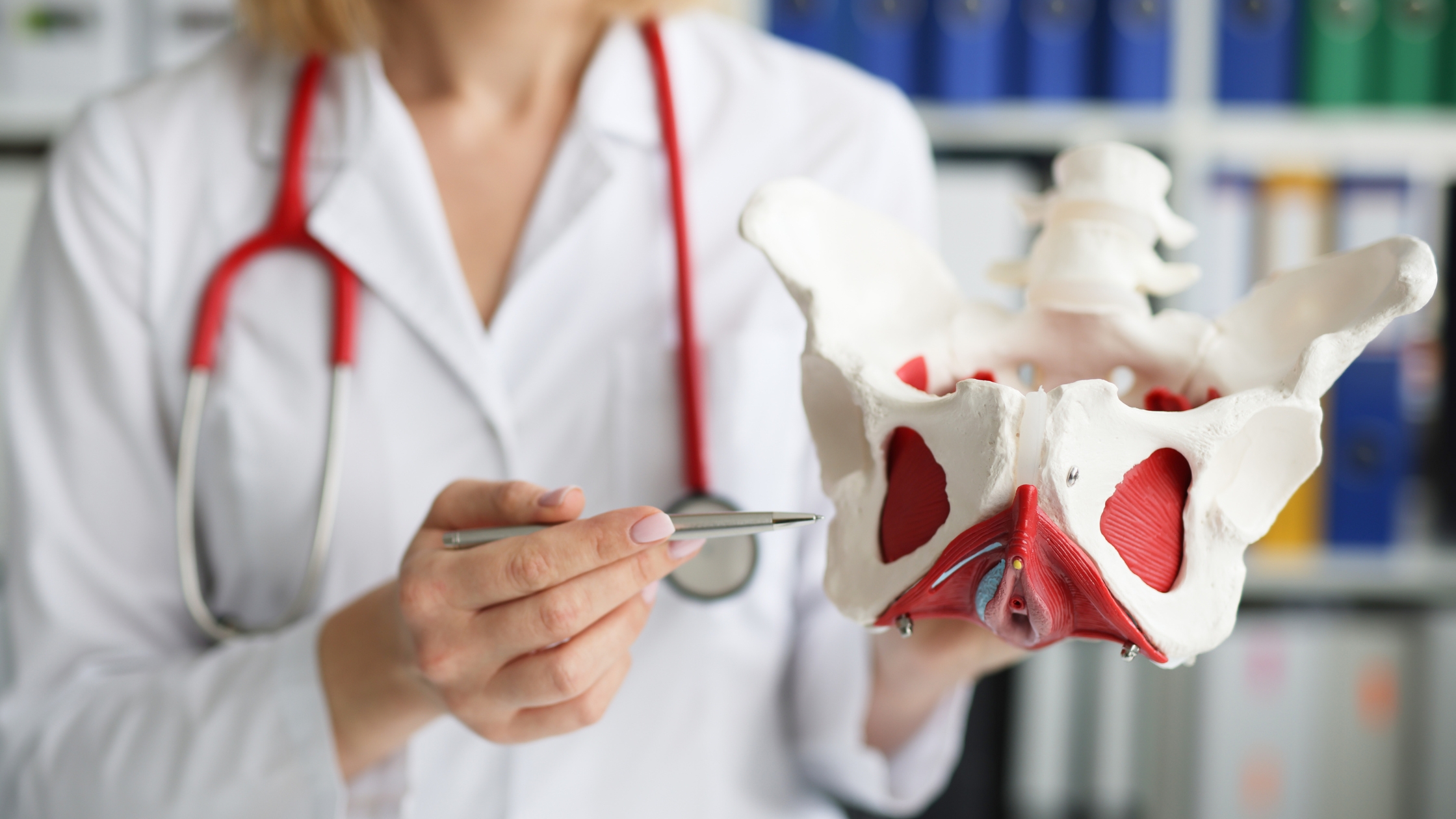 Photo of Doctor with pelvis model